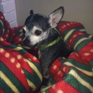 Meet your Posher, Wendy